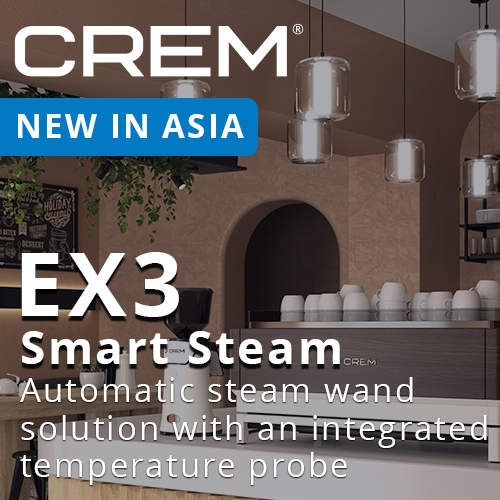 CREM EX3 Smart Steam